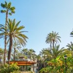 Costa del Sol or Costa Blanca: Where Should You Buy Property in Spain?